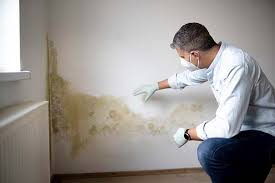 Best Residential Mold Inspection & Testing  in Rafter J Ranch, WY